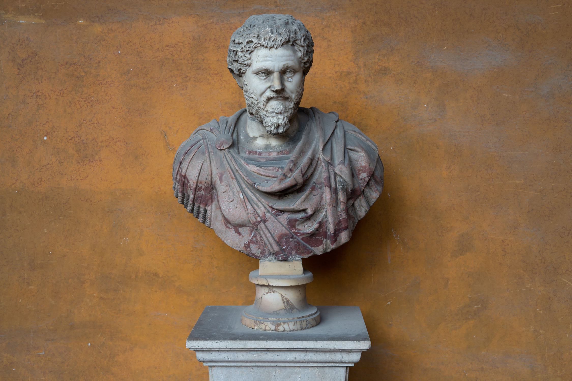 Saxia Museum | Percorsi | Palazzo del Commendatore | Decorazioni e stemmi piano nobile