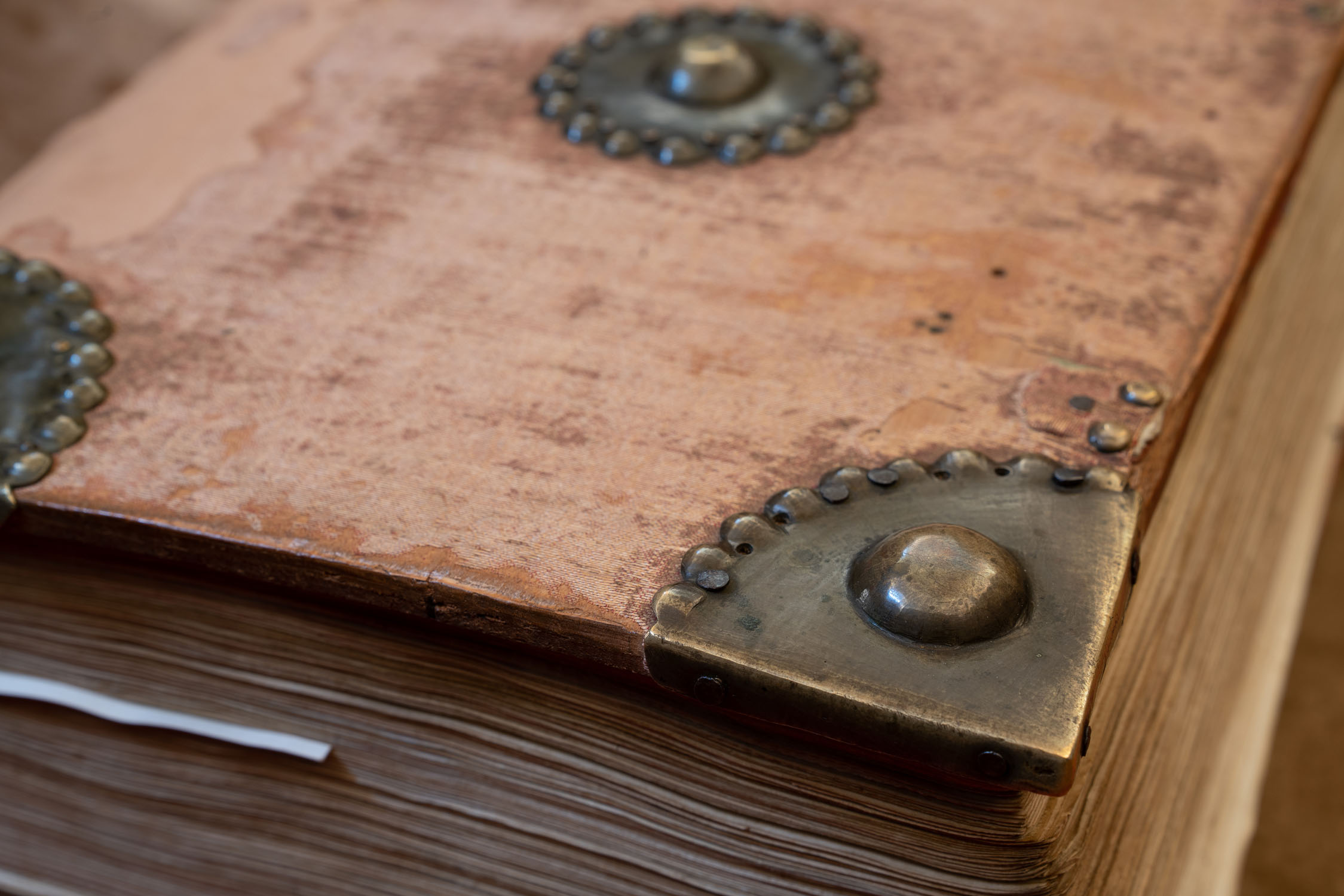Saxia Museum | Percorsi | Biblioteca Lancisiana | Codice Liber Fraternitatis, XV sec. Saxia Museum | Percorsi | Biblioteca Lancisiana | Codice Liber Fraternitatis, XV sec.