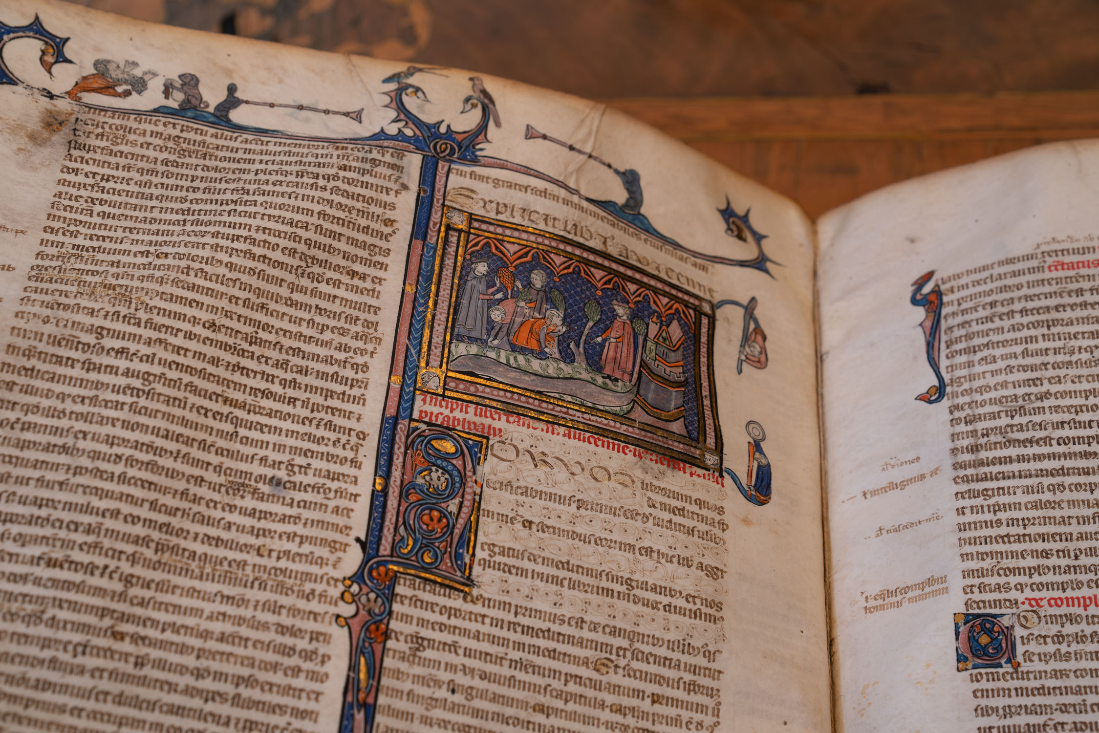 Saxia Museum | Percorsi | Biblioteca Lancisiana | Codice di Avicenna Saxia Museum | Percorsi | Biblioteca Lancisiana | Codice di Avicenna
