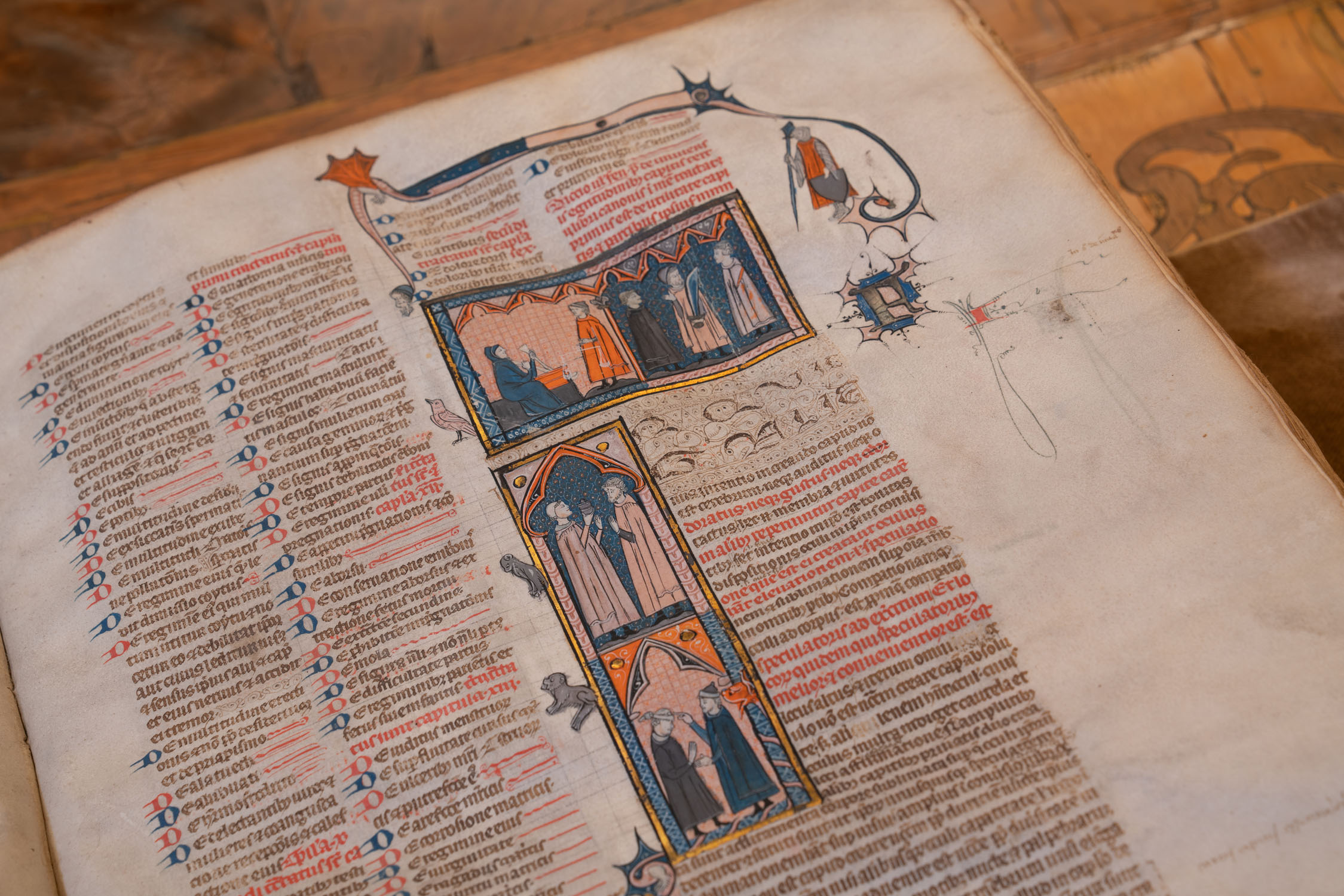 Saxia Museum | Percorsi | Biblioteca Lancisiana | Codice di Avicenna
