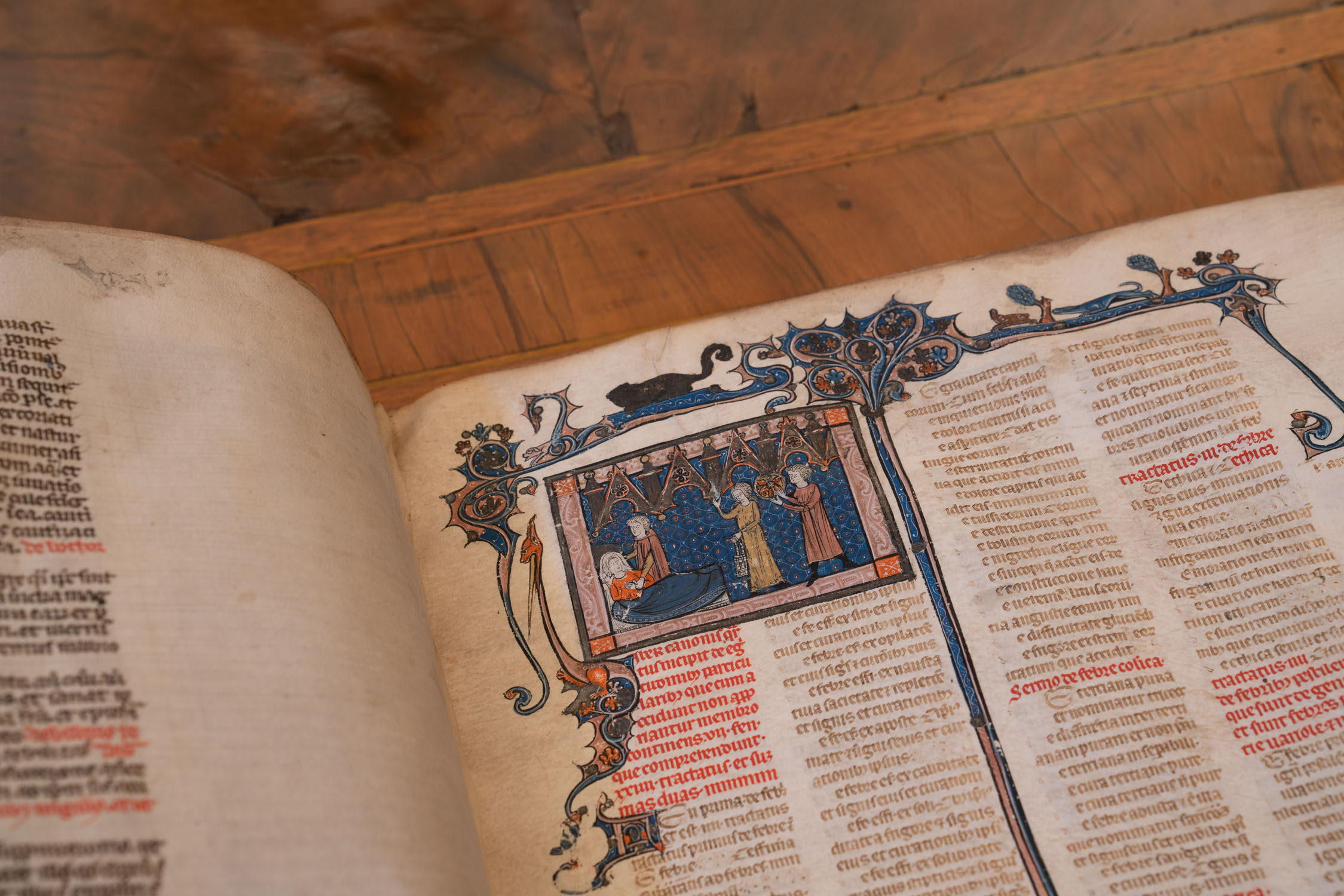 Saxia Museum | Percorsi | Biblioteca Lancisiana | Codice di Avicenna