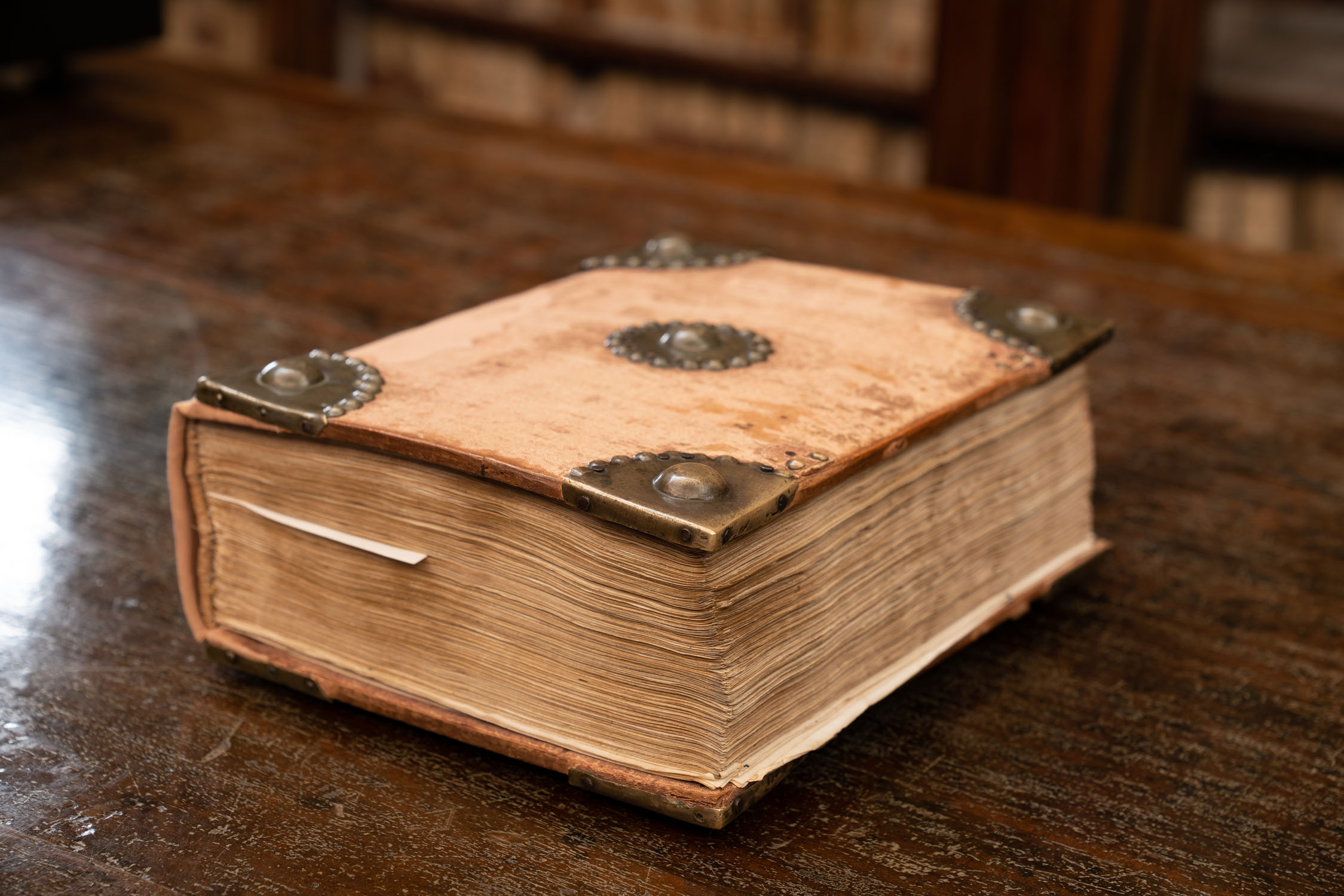 Saxia Museum | Percorsi | Biblioteca Lancisiana | Codice Liber Fraternitatis, XV sec. Saxia Museum | Percorsi | Biblioteca Lancisiana | Codice Liber Fraternitatis, XV sec.