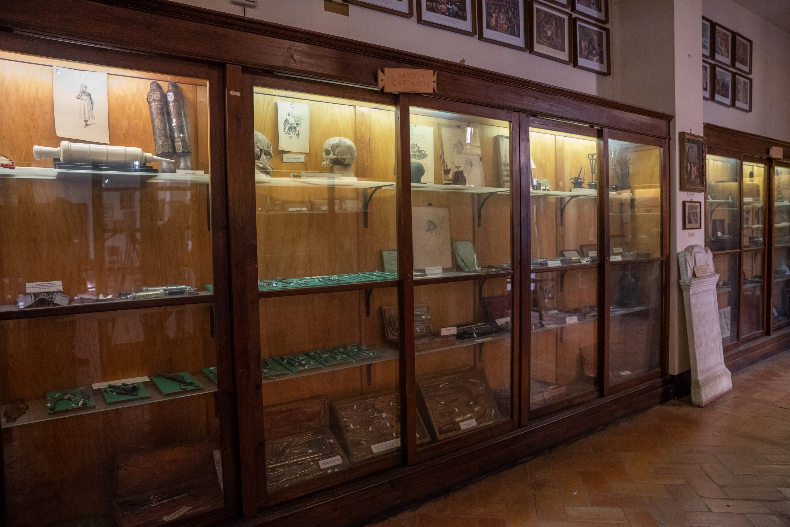 Saxia Museum | Percorsi | Museo dell arte sanitaria | Sala Capparoni