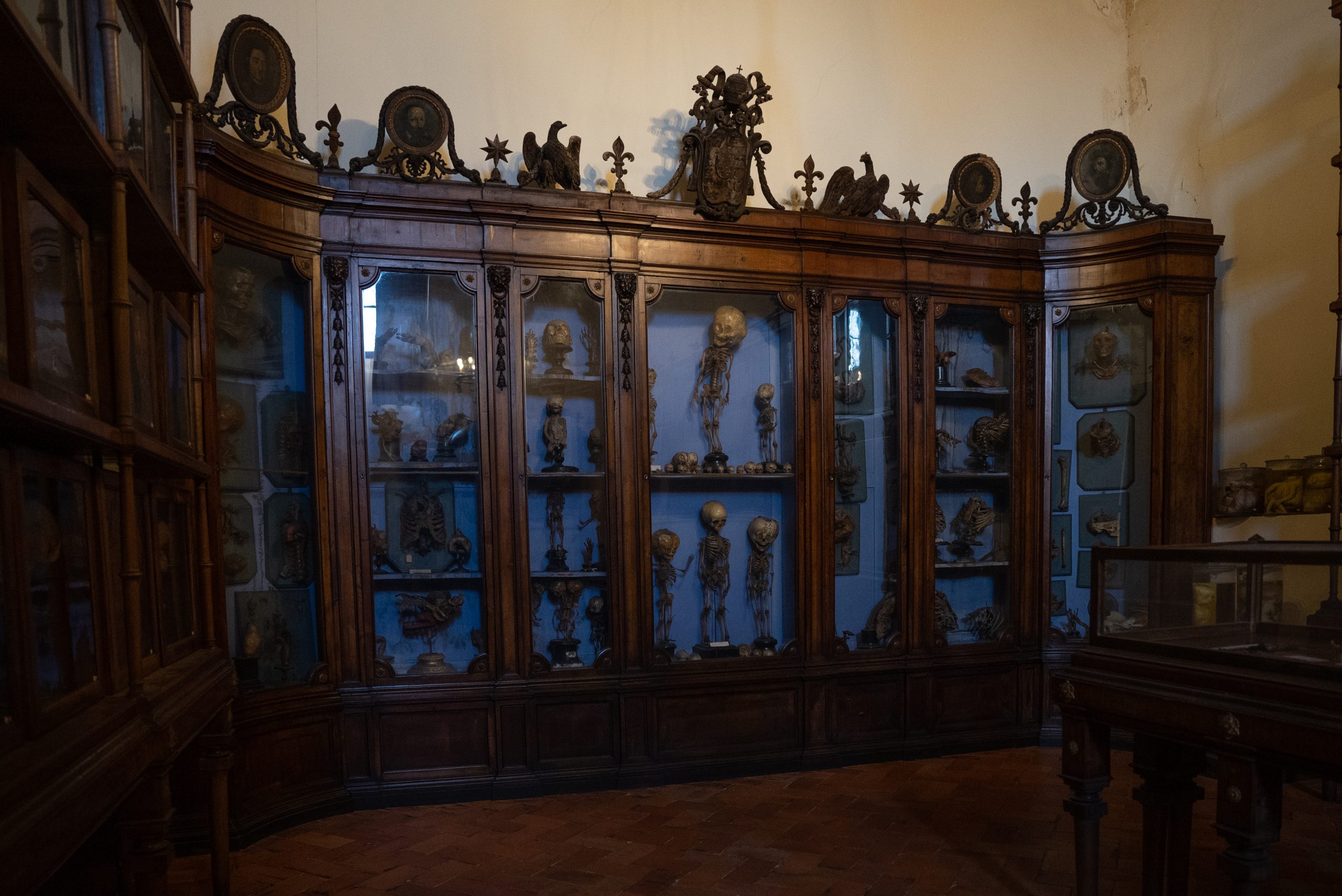 Saxia Museum | Percorsi | Museo dell arte sanitaria | Sala Flajani Saxia Museum | Percorsi | Museo dell arte sanitaria | Sala Flajani