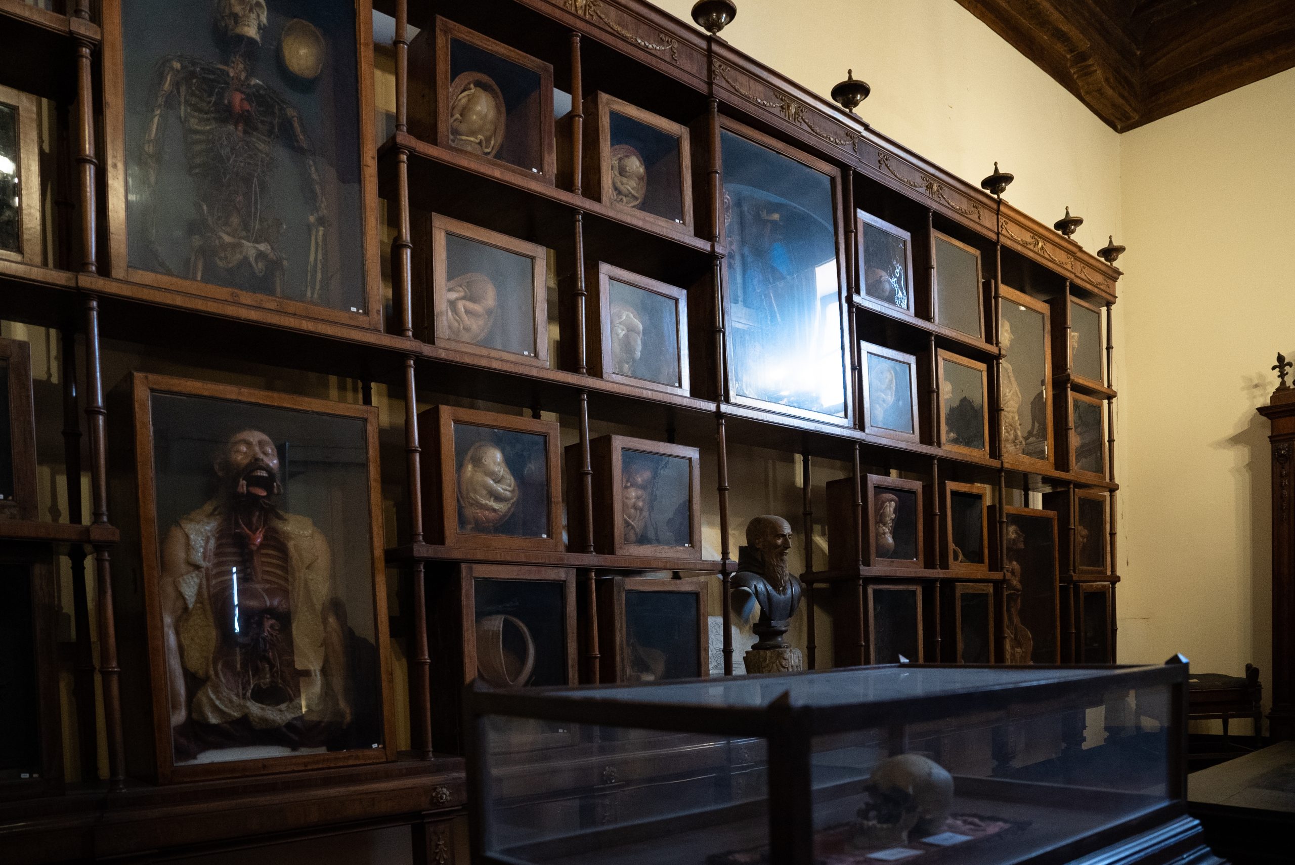 Saxia Museum | Percorsi | Museo dell arte sanitaria | Sala Flajani
